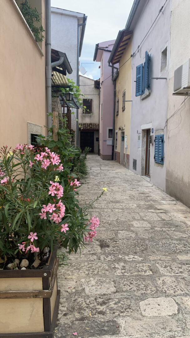 Grad Vodnjan