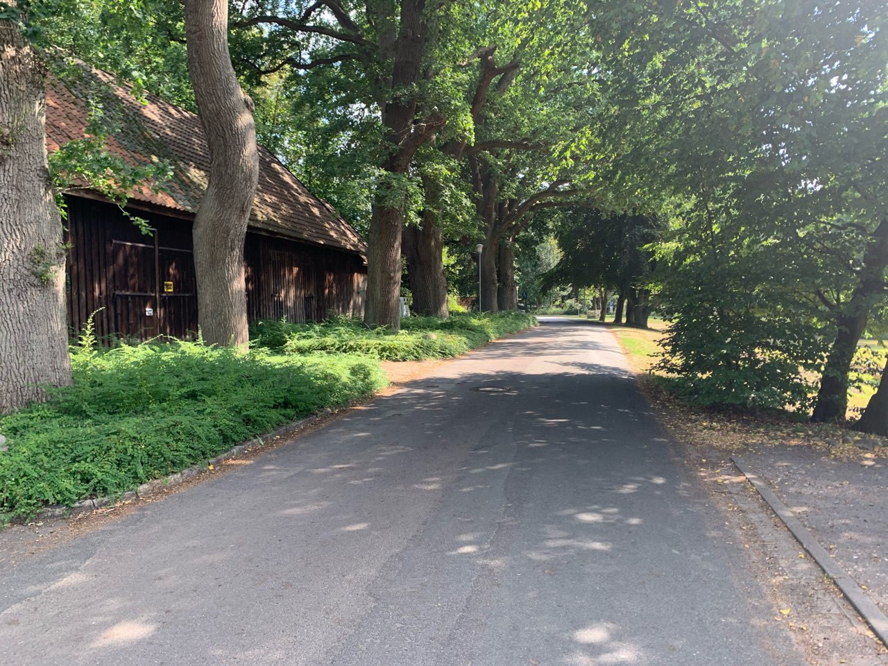 Harpstedt